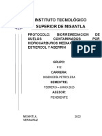 Biorremediacion de Suelos Contaminados Por Hidrocarburos