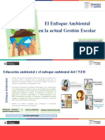 ENF AMB EN LA ACTUAL GE - Webinar 05 04