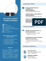 Blue Light Blue Color Blocks Flight Attendant CV PDF