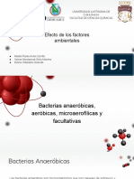 Efecto de Los Factores Ambientales PDF