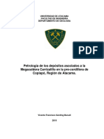 Tesis Vicente Gerding - revPF-vg PDF