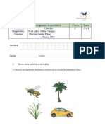 Prueba Diagnóstico 2023