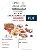Rapport Physiologie Animale Hématologie PDF