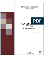 Apostila Panorama NT - Prof Vlademir PDF