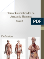 Anatomía Humana (Grupo 1)