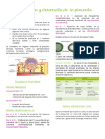 Placentación y Dllo de La Placenta OF - 230508 - 003003 PDF