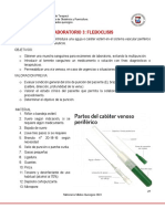 Fleboclisis PDF