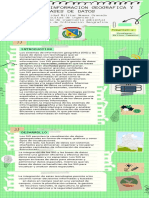 Informe Bases de Datos Sistemas de Informacion Geografica