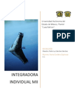 Integradora Individual MII PDF