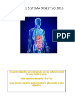 Anatomia Aparato Digestivo 2016 PDF