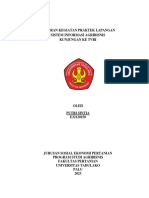 Tugas Sistem Informasi Agribisnis PDF