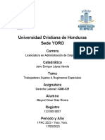 Derecho Laboral s9 t1