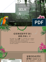 Selva: definición, ubicación, tipos, estructura y flora y fauna