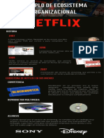 Ecosistema Organizacional - NETFLIX