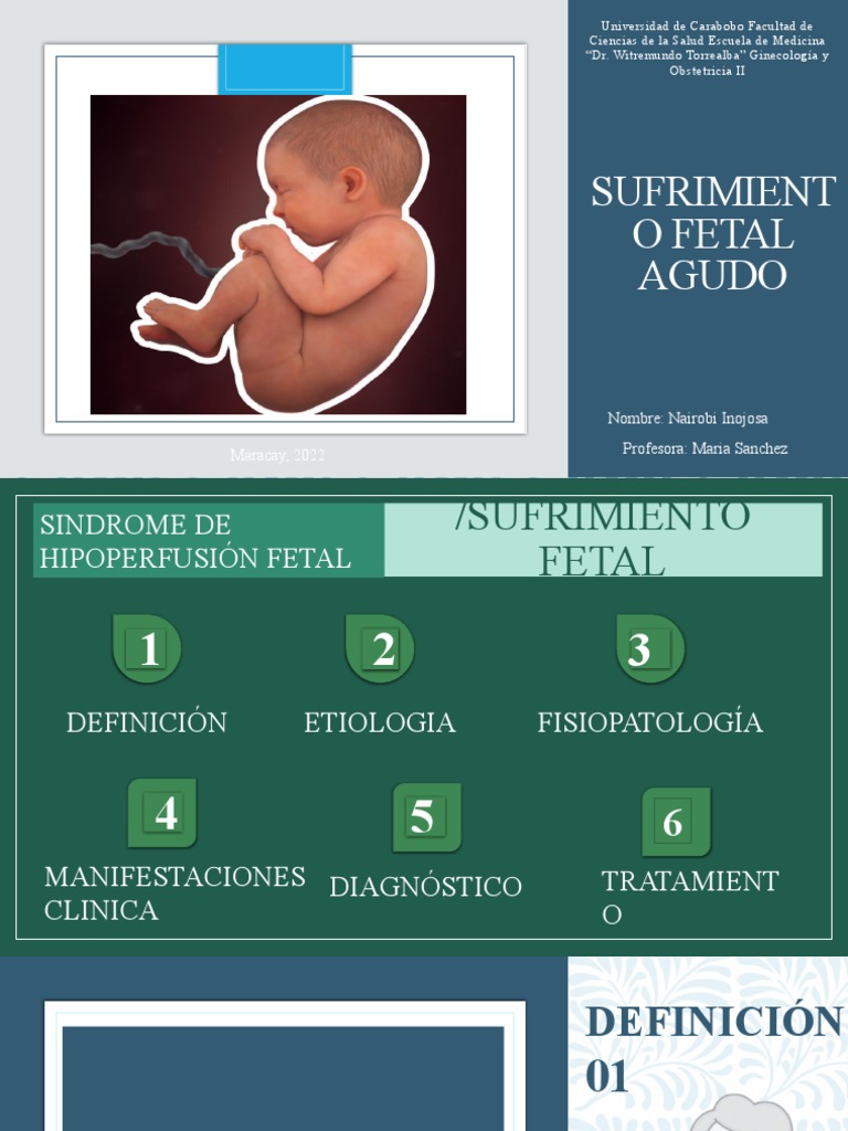 Sufrimiento Fetal Agudo PDF Parto Feto