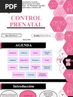 Maternity Programme Registration Form | PDF | Pregnancy | Childbirth