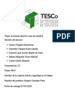 Estudio de Caso SySeeT PDF