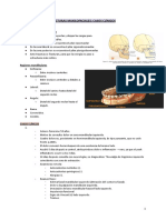 Fracturas Mandibulares - Casos Clínicos