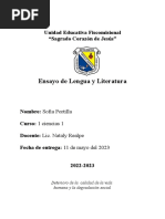 Proyecto Lengua - Odt