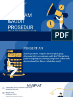 Audit Program & Prosedur