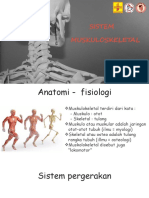 sistem muskuloskeletal