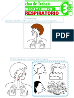 Sistema Respiratorio para Ninos de 3 Anos