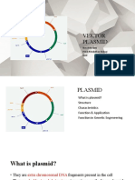 KULIAH 3. VEKTOR PLASMID - Odp