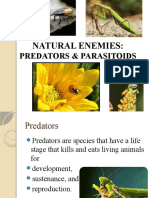 Predators