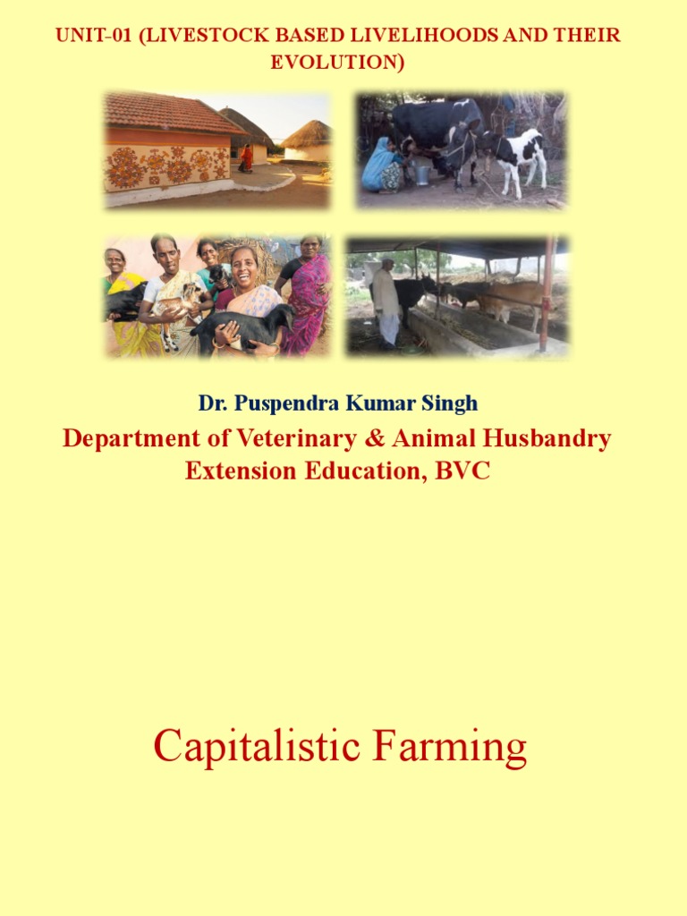 Agriculture As An Economic Factor in Capitalist and Non-Capitalist