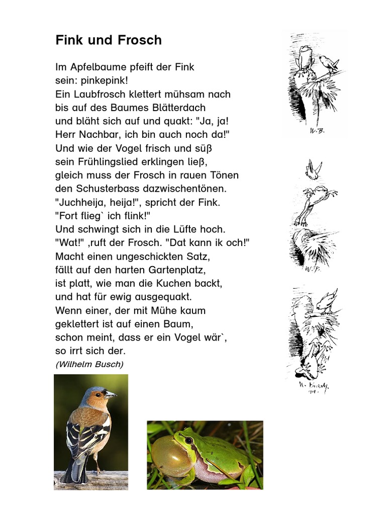 Der Aufbau Eines Fabeltextes Der Aufgeblasene Frosch – BKZPKO