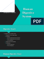 Human Digestive System