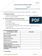 Rapport D'analyse - DAO