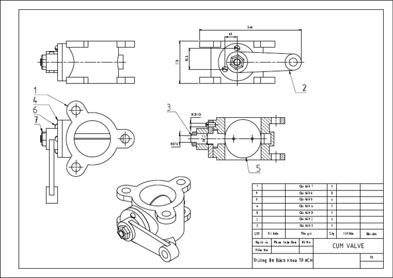 Ban Ve Lap Cum Valve | PDF