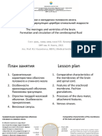Meninges and Ventricles of Brain