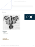 4.7 Test Female reproductive system - просмотр попытки PDF