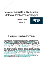 257432829-Lumea-Animala-a-Republicii-Moldova