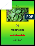 پودینہ (Podina) - Mint