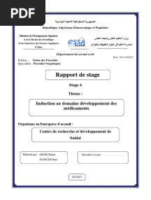 Rapport de Stage4 Saidal CRD