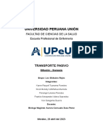 Practica Nro 04 PDF