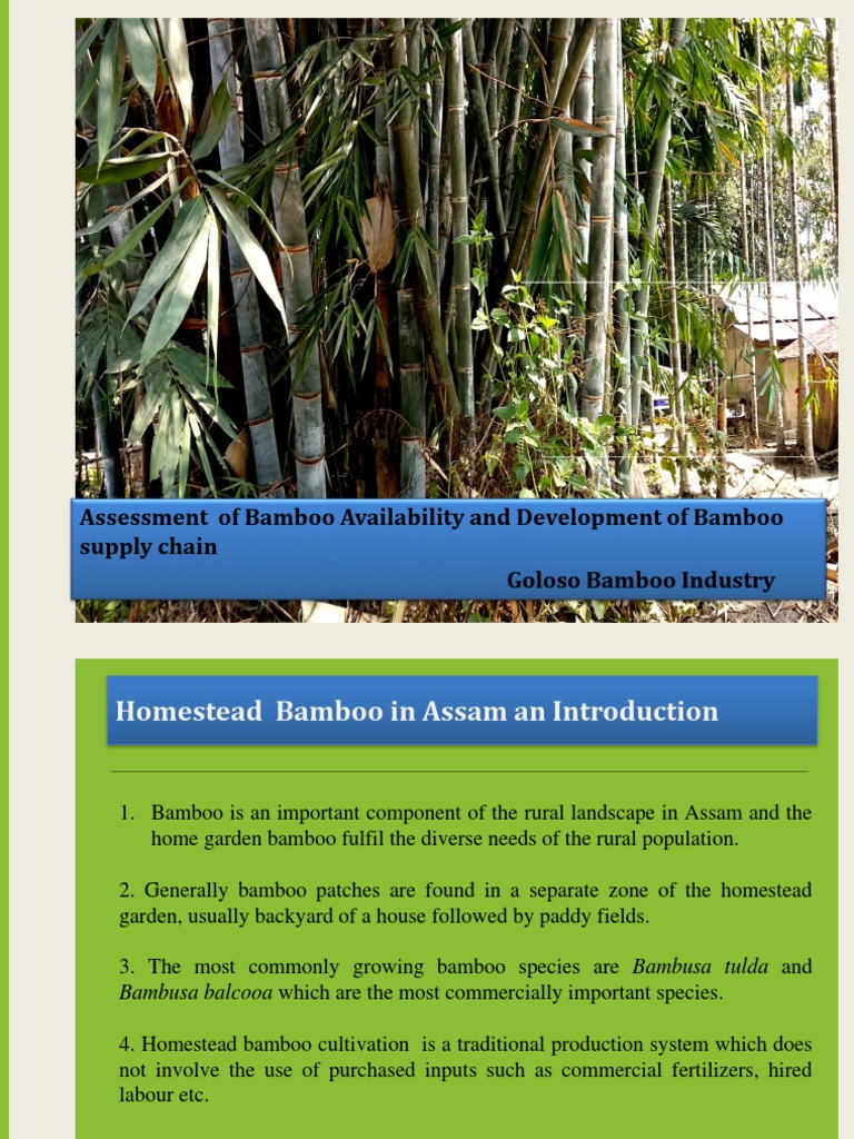 Forest Stewardship Council Biology Diagrams