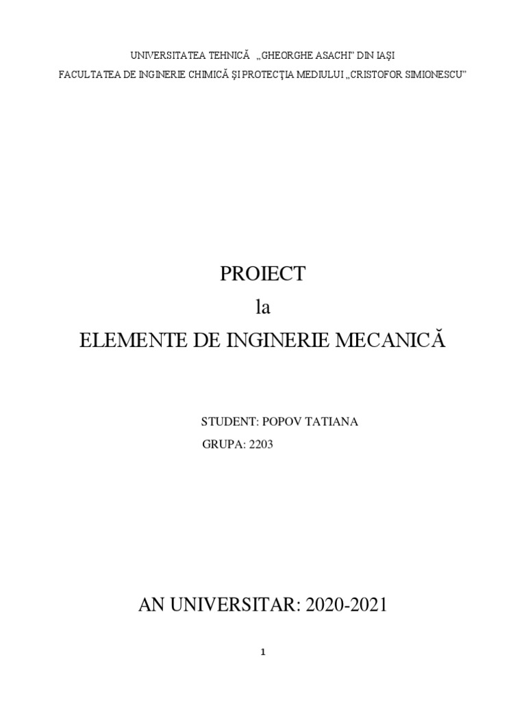 Proiect EIM | PDF