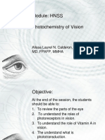 Photochemistry of Vision Explained