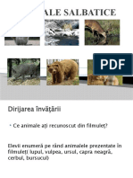 ANIMALE_SALBATICE.pptx