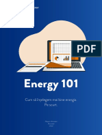 FEL Romania - Energy101 - Raport Despre Energie Pe Scurt