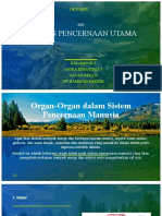 ORGAN PENCERNAAN UTAMA#ipakelas8