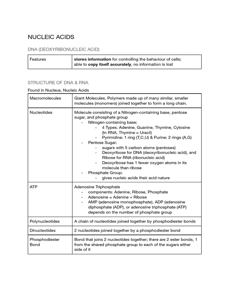 Nucleic Acids + Protein Synthesis PDF Translation (Biology) Dna