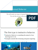 Animal Behavior Powerpoint