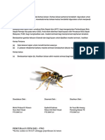Perekaan STPM 2022 PDF