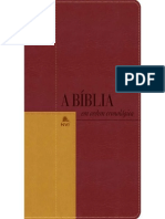 Resumo Biblia Nvi em Ordem Cronologica Varios Autores
