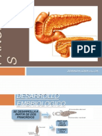 7 Pancreatitis - Zoraida Lema